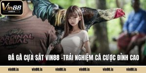 Đá gà cựa sắt Vin88
