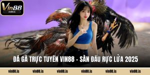 đá gà trực tuyến Vin88
