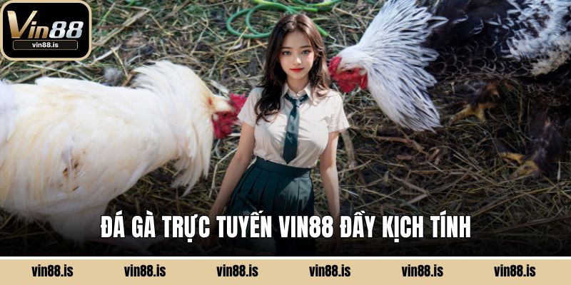 Đá Gà Trực Tuyến VIN88 - Sàn Đấu Rực Lửa 2025 1 Đá gà trực tuyến VIN88 đầy kịch tính