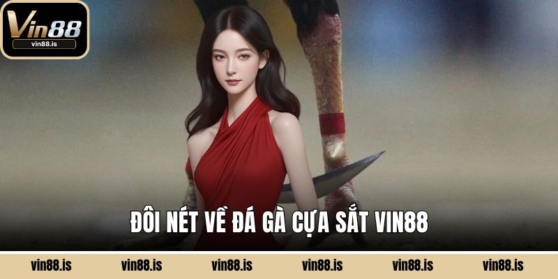 Đôi nét về đá gà cựa sắt Vin88