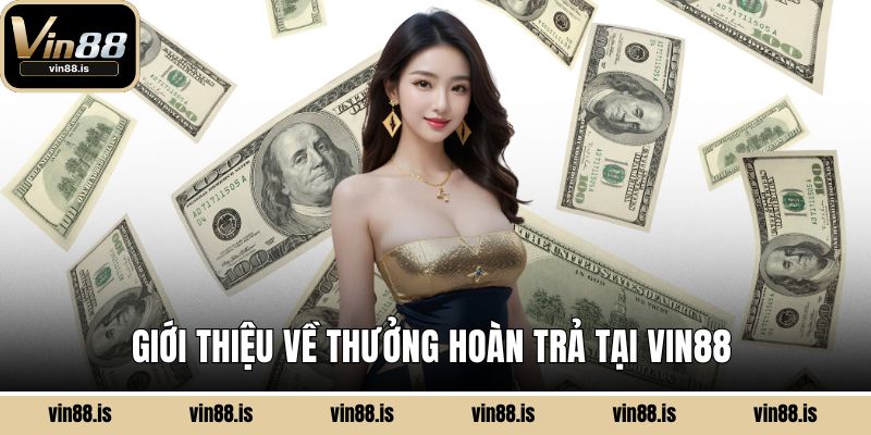 Thưởng Hoàn Trả Tại Vin88 Hoàn Tiền Siêu Hấp Dẫn 1 Giới thiệu về thưởng hoàn trả tại Vin88