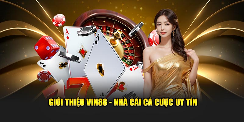 Trải nghiệm dịch vụ khi liên hệ VIN88