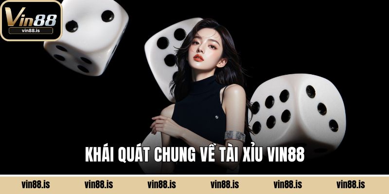 Khái quát chung về tài xỉu Vin88