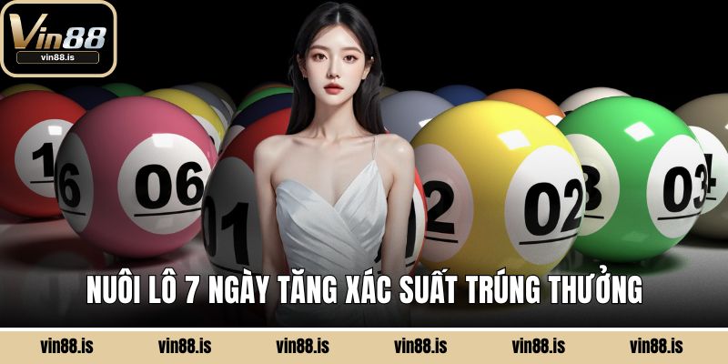 Nuôi lô 7 ngày tăng xác suất trúng thưởng