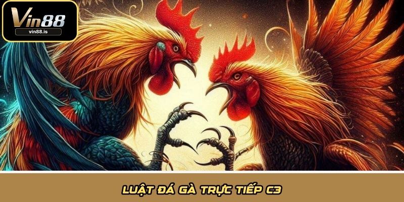 Luật đá gà trực tiếp C3